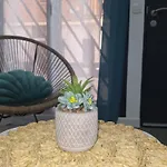 Alba , Junto Al Estadio Futbol Y Ribera