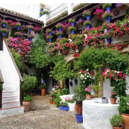Alba , Junto Al Estadio Futbol Y Ribera *